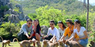 Du lịch Nha Trang đến với đảo Khỉ với những trải nghiệm mới lạ