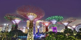 Kinh nghiệm khám phá Garden By The Bay trong tour du lịch Singapore