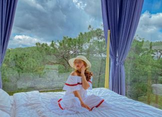 Top 5 homestay view đồi thông cực xịn dành cho khách du lịch Đà Lạt Top 5 homestay view đồi thông cực xịn dành cho khách du lịch Đà Lạt